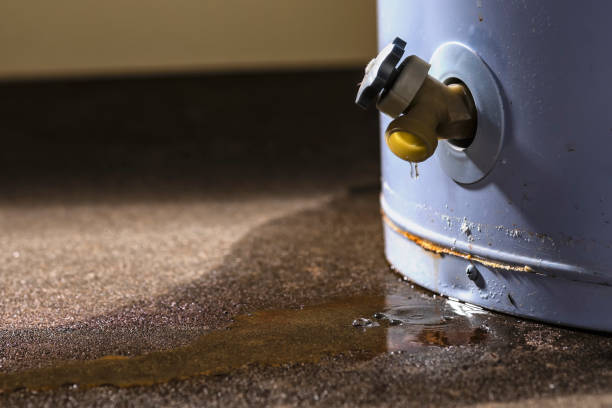 Best Carpet water damage restoration  in Miami Beach, FL