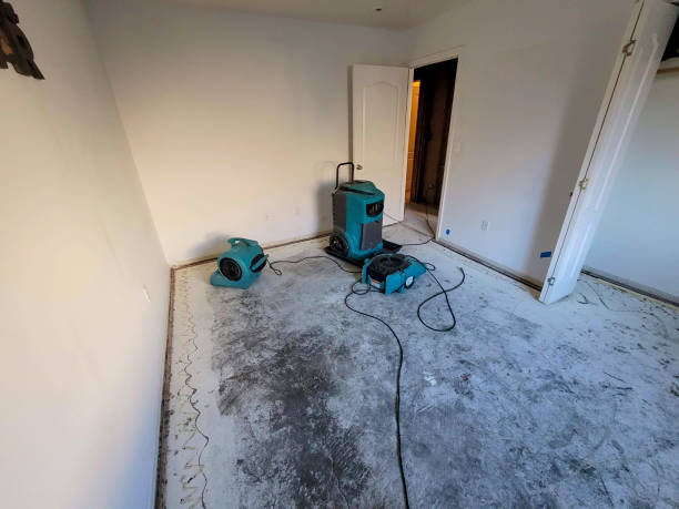 Best Flooded house restoration  in Miami Beach, FL