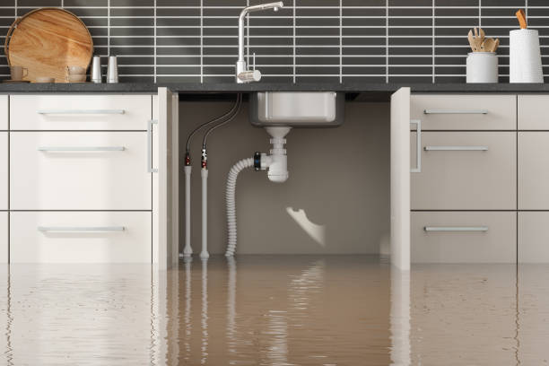 Best 24/7 water damage repair  in Miami Beach, FL