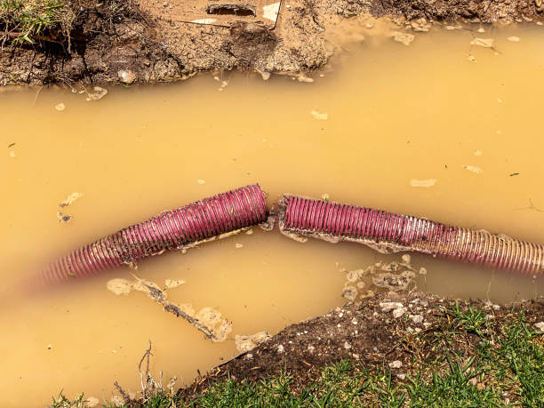Best Sewage cleanup and water damage restoration  in Miami Beach, FL